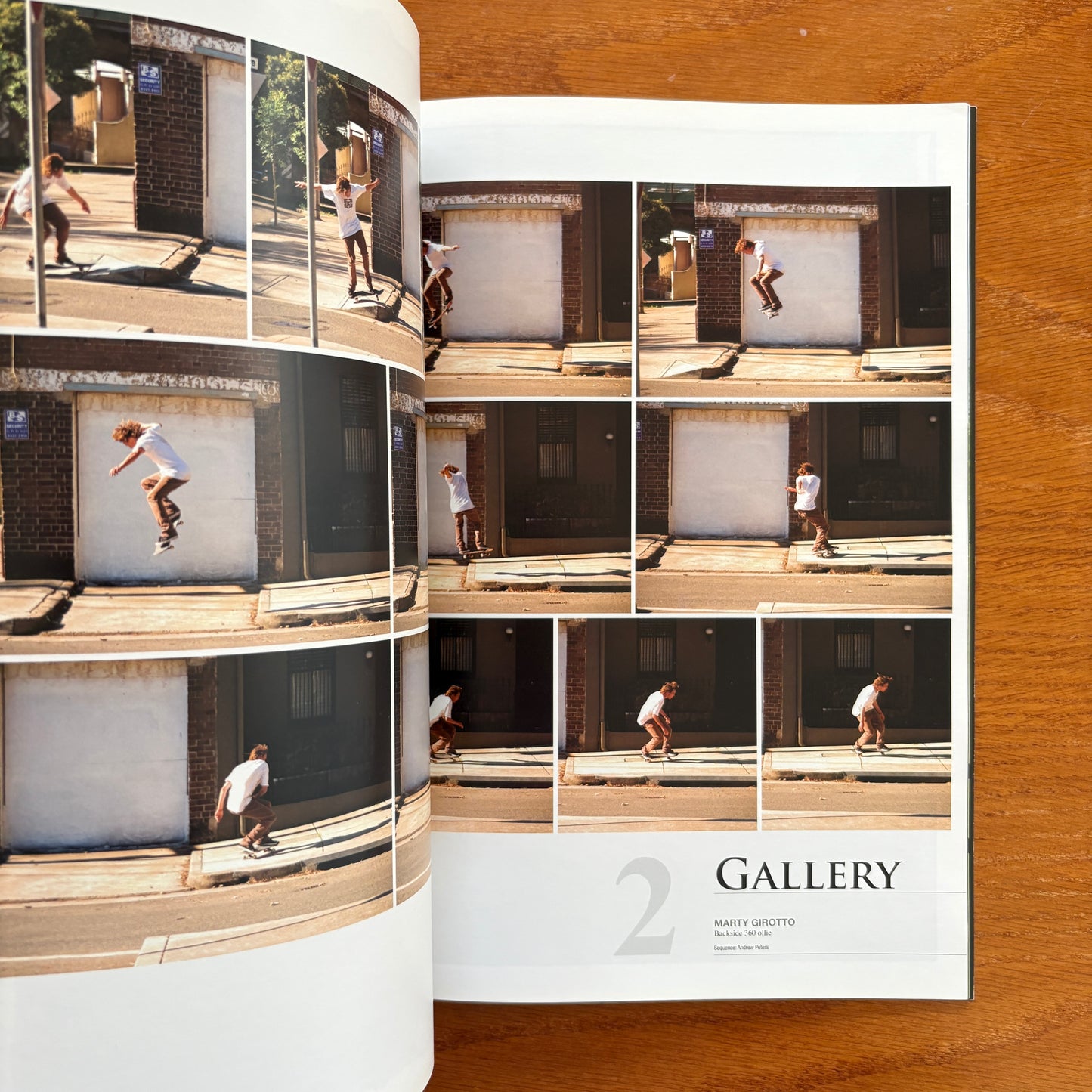 The Skateboarder's Journal 10