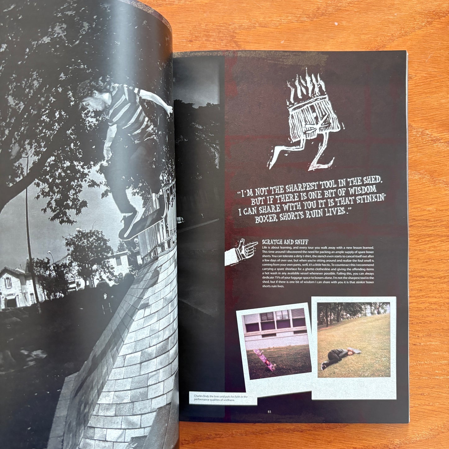 The Skateboarder's Journal 10