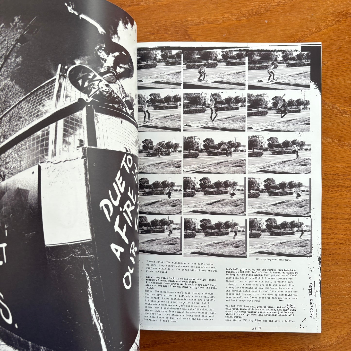 The Skateboarder's Journal 10