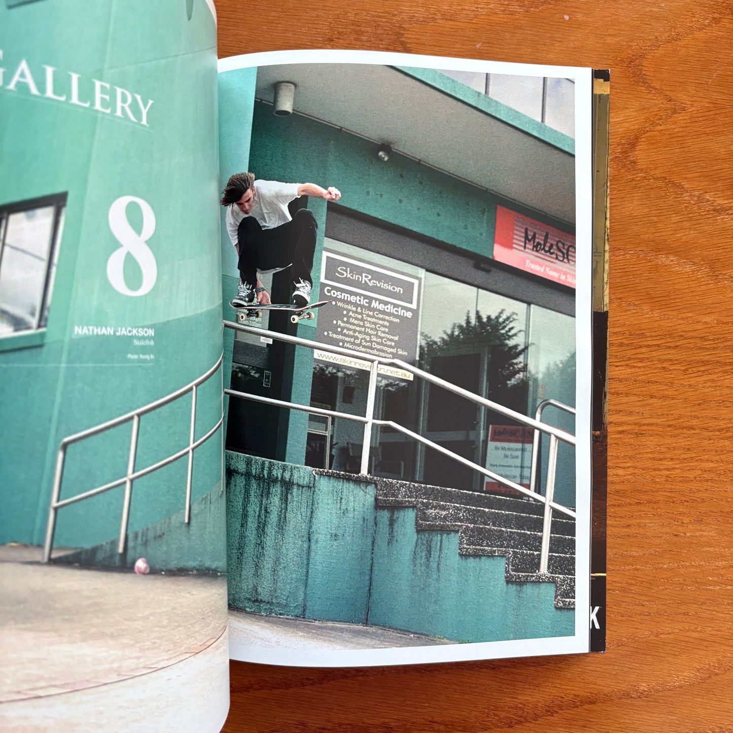 The Skateboarder's Journal 9