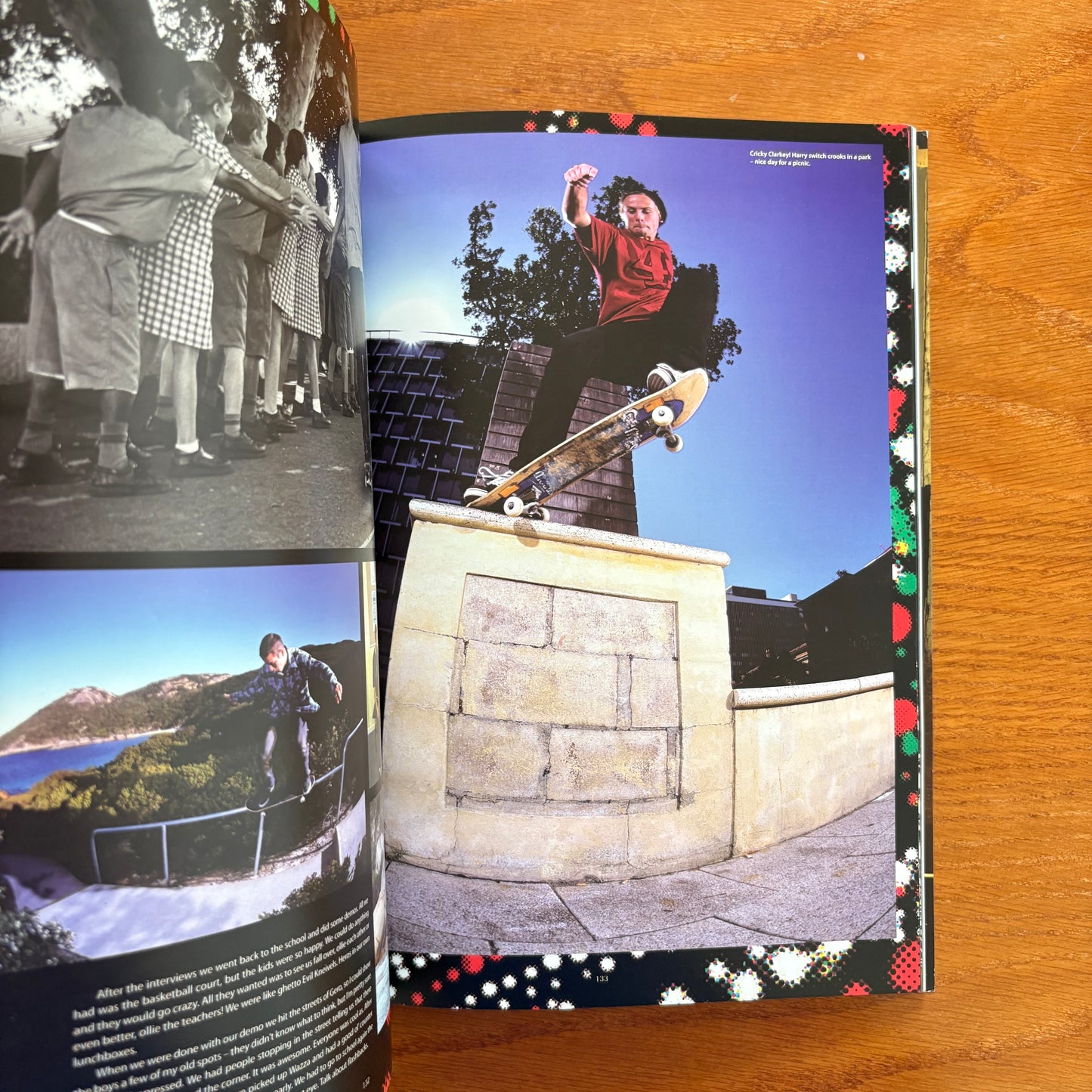 The Skateboarder's Journal 9
