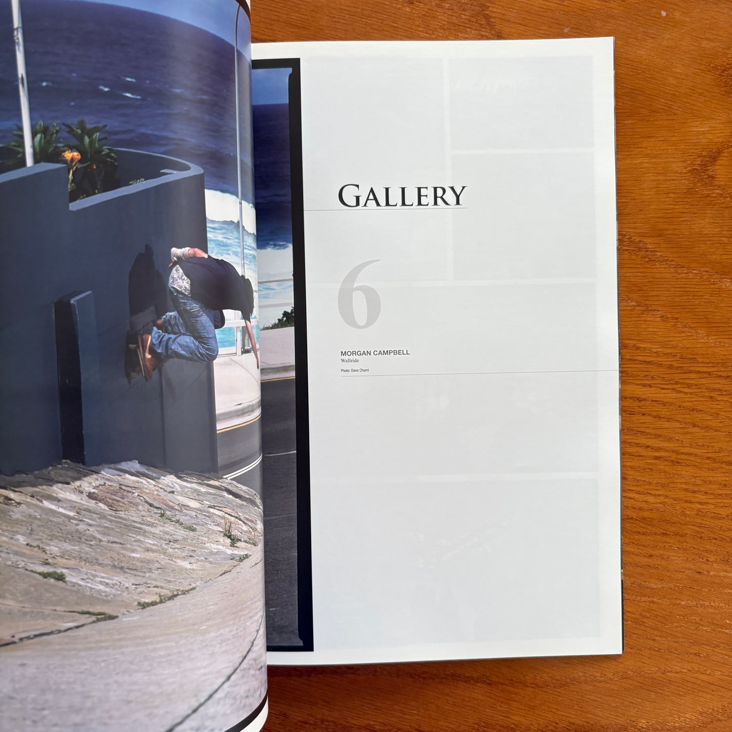 The Skateboarder's Journal 8
