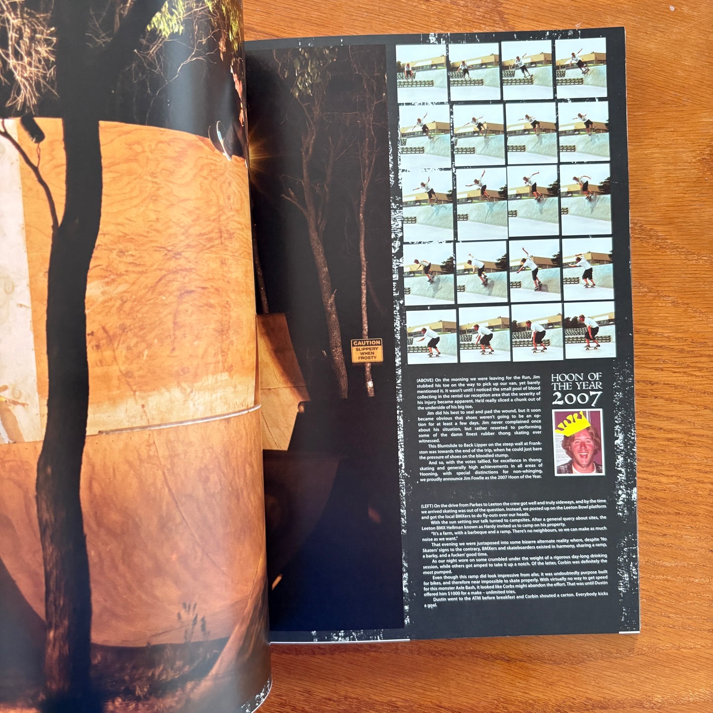 The Skateboarder's Journal 8