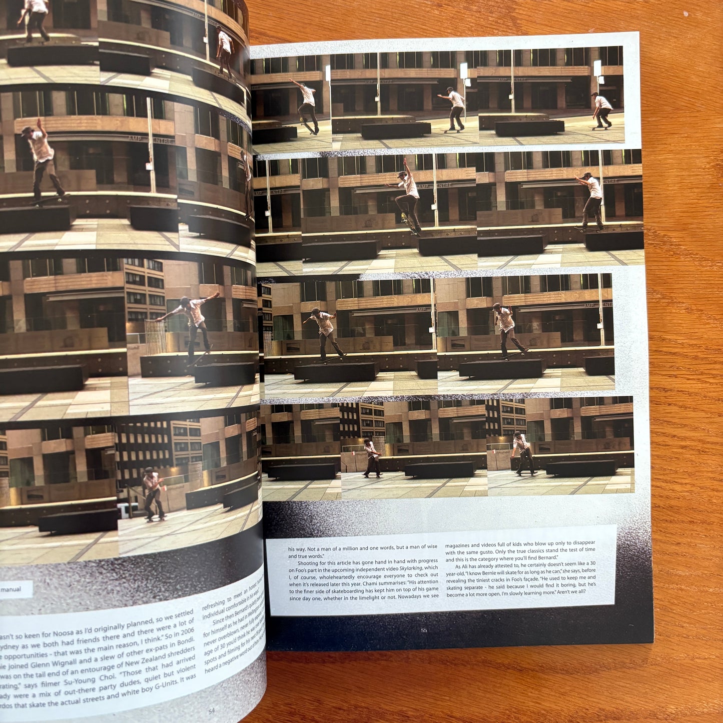 The Skateboarder's Journal 8