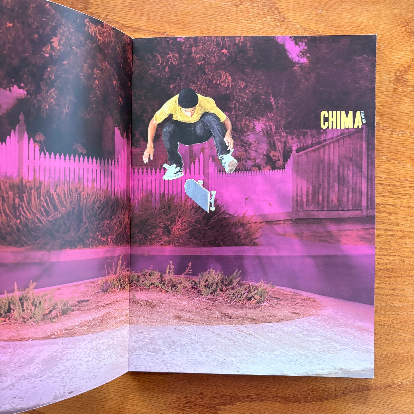 The Skateboarder's Journal 7