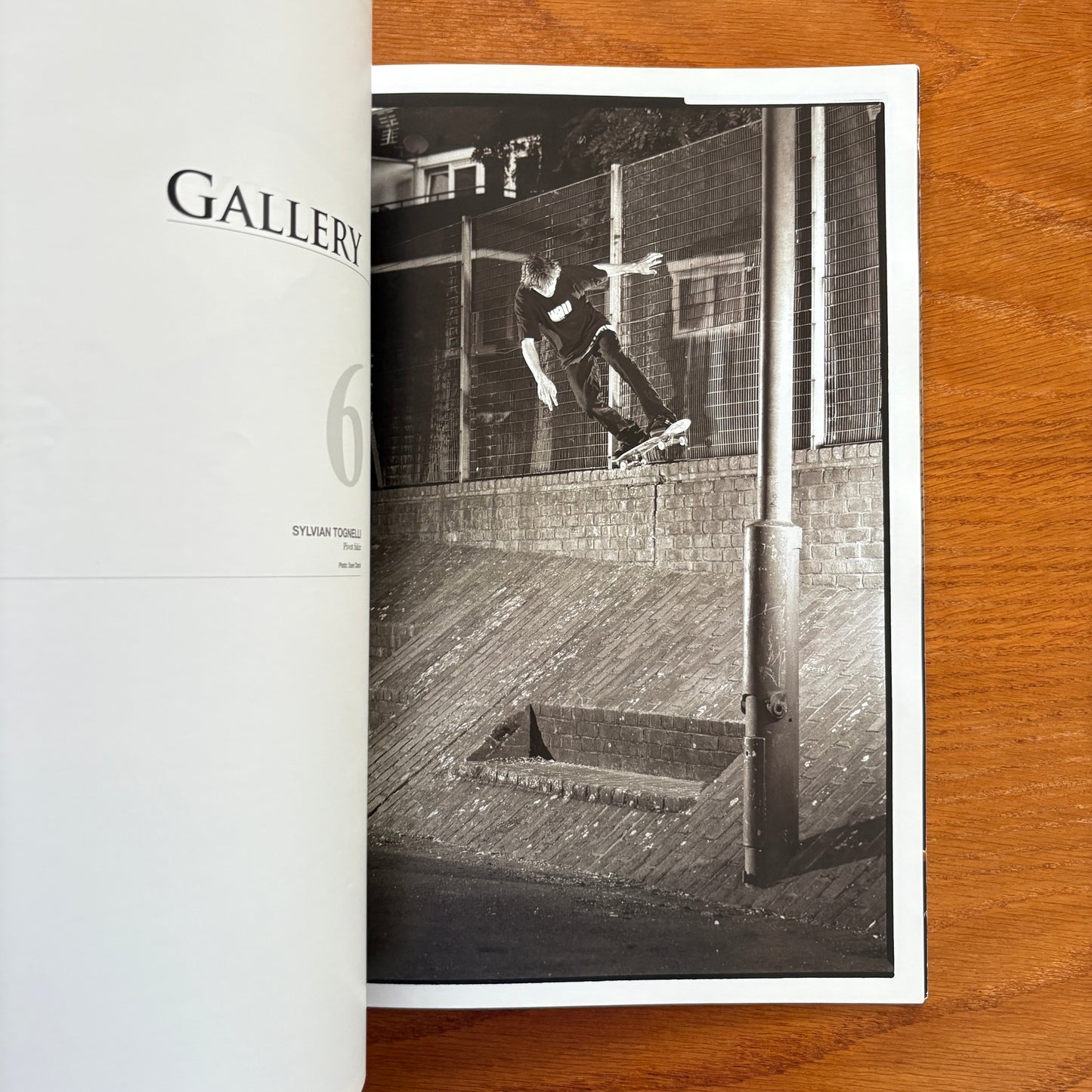The Skateboarder's Journal 7