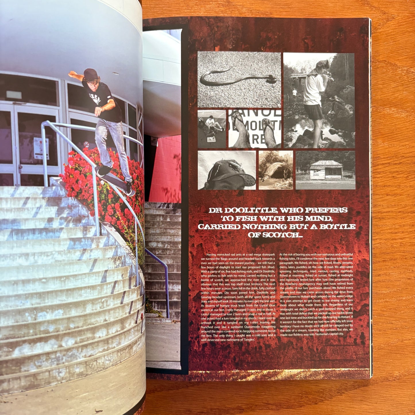 The Skateboarder's Journal 7