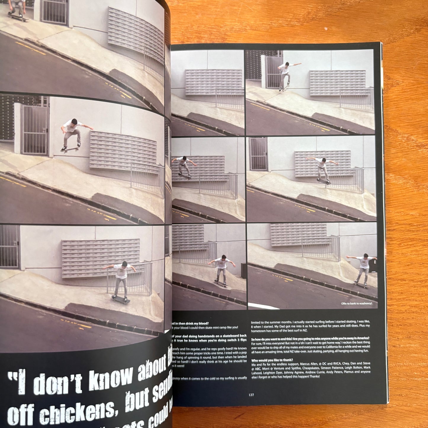 The Skateboarder's Journal 6