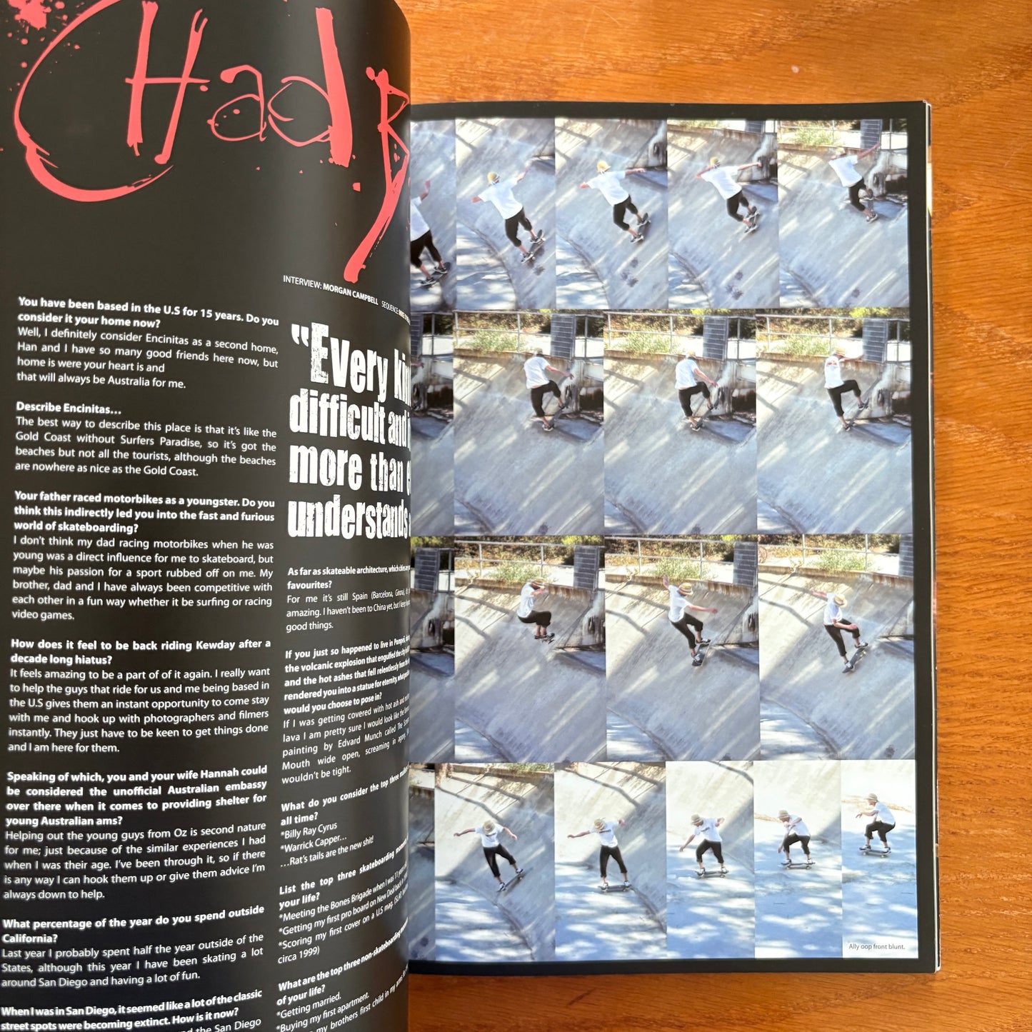 The Skateboarder's Journal 6