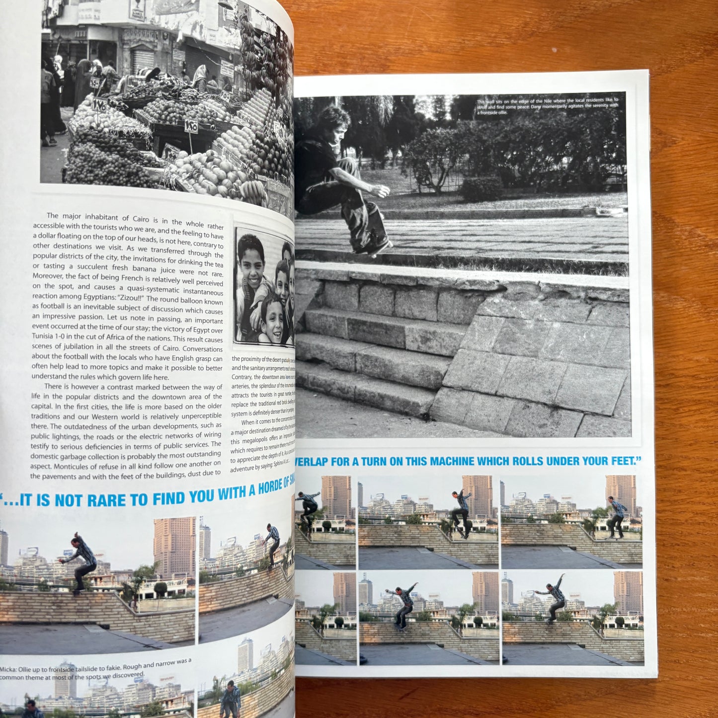 The Skateboarder's Journal 6