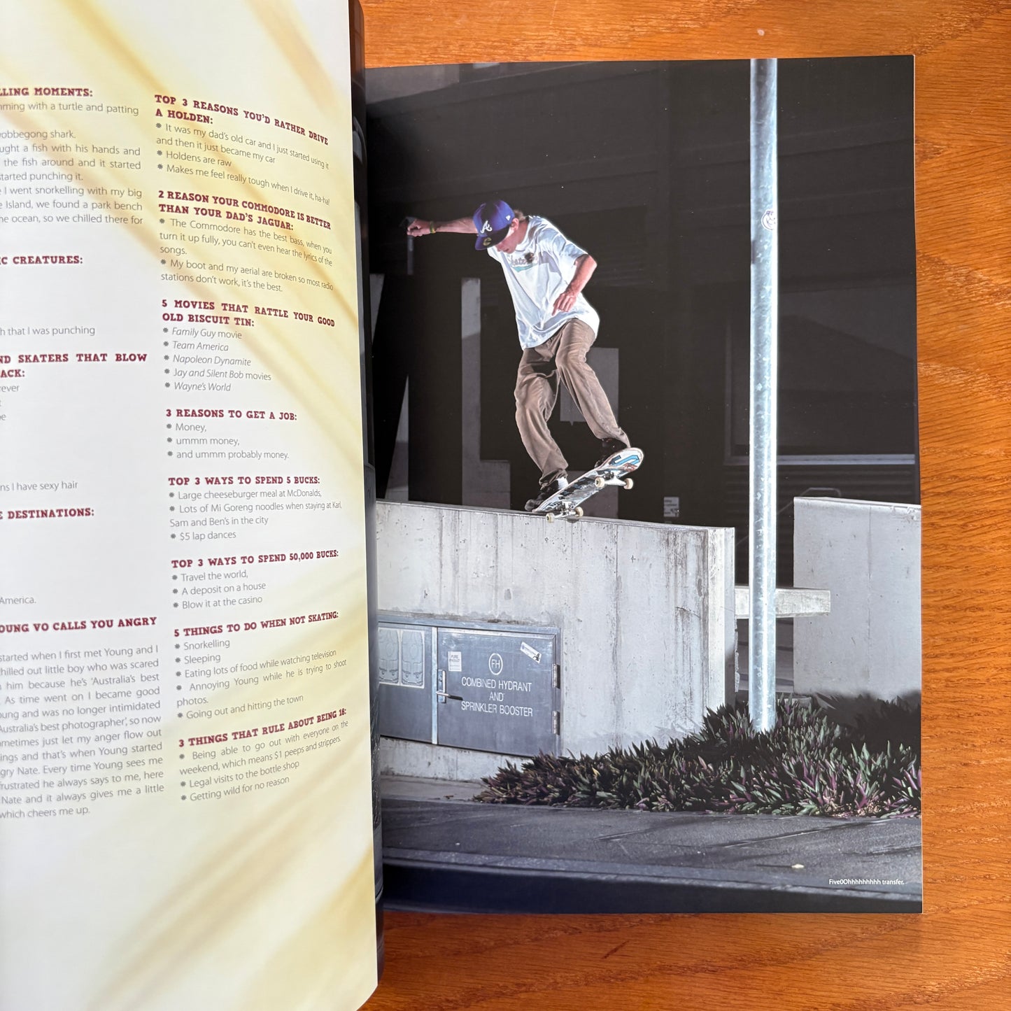 The Skateboarder's Journal 5