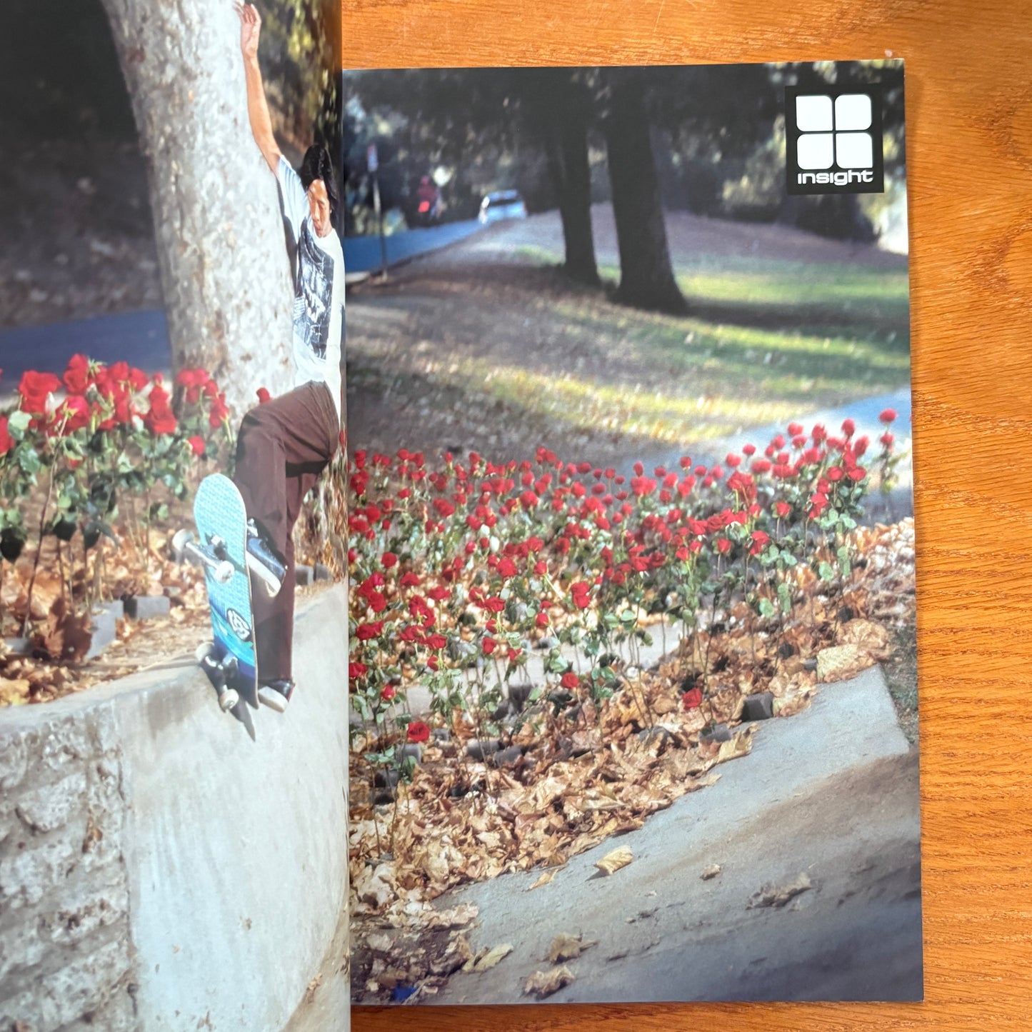 The Skateboarder's Journal 4