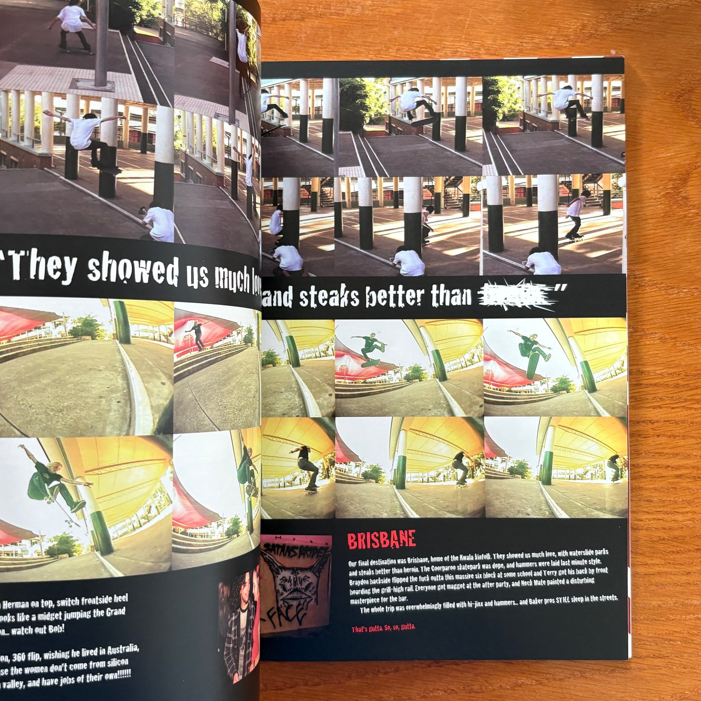 The Skateboarder's Journal 4