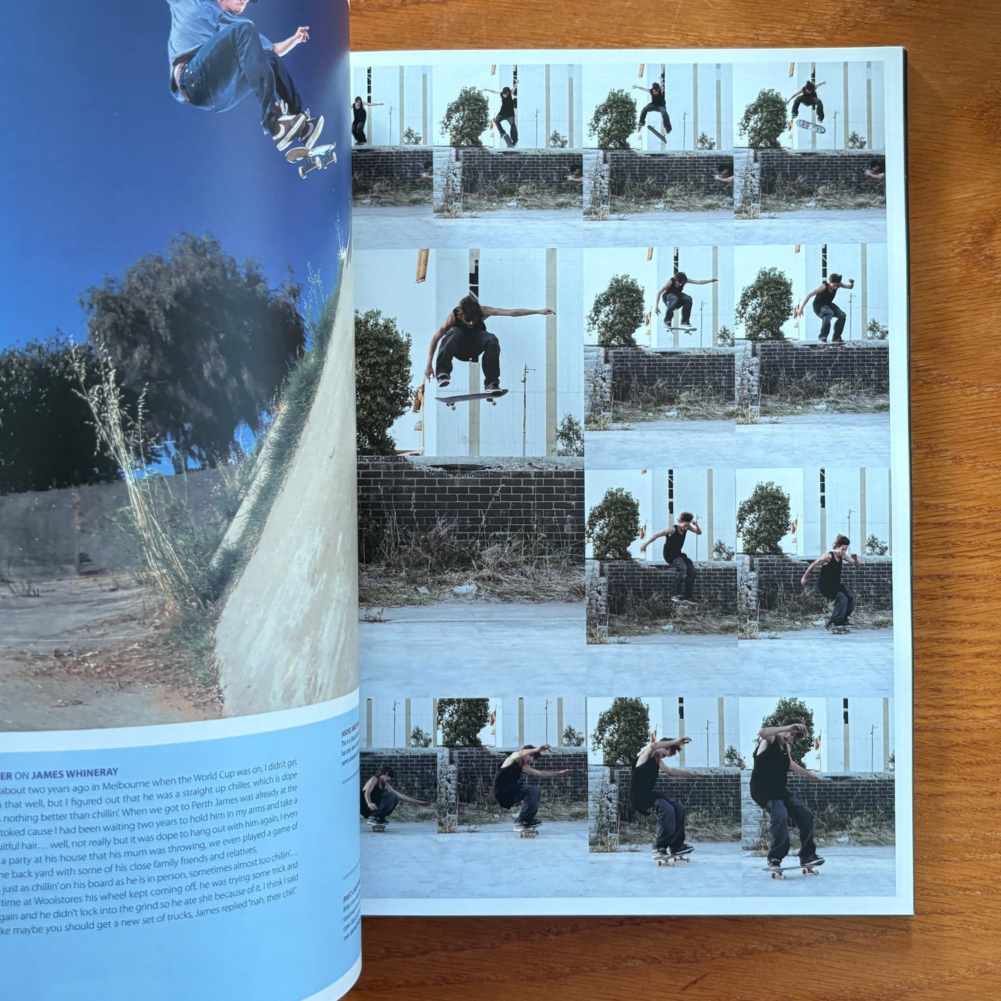 The Skateboarder's Journal 4