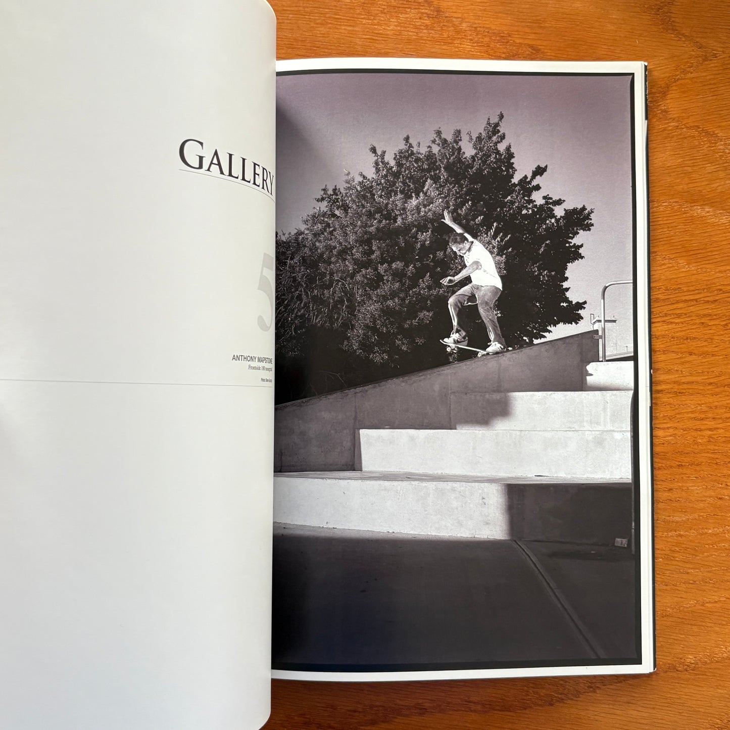 The Skateboarder's Journal 3