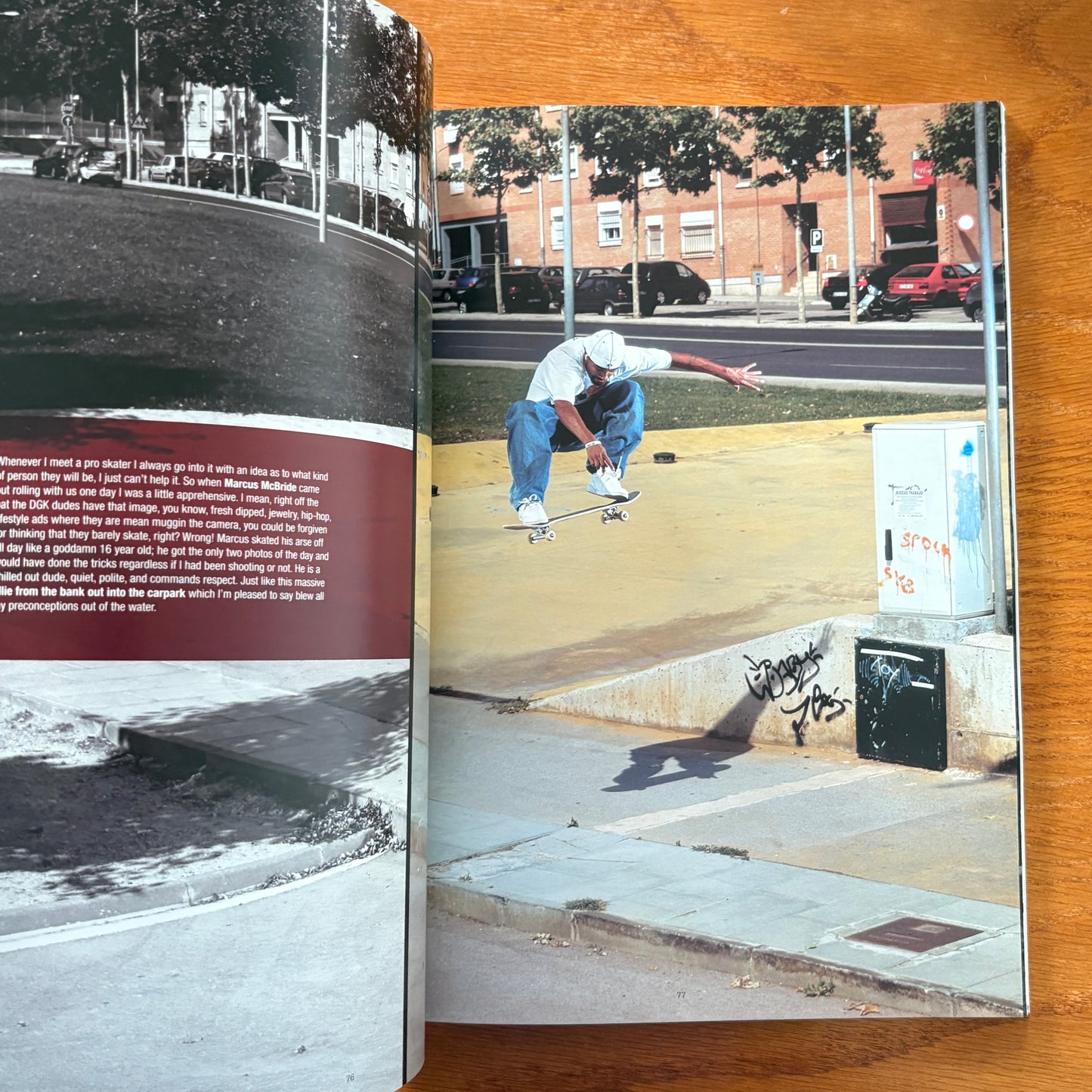 The Skateboarder's Journal 3