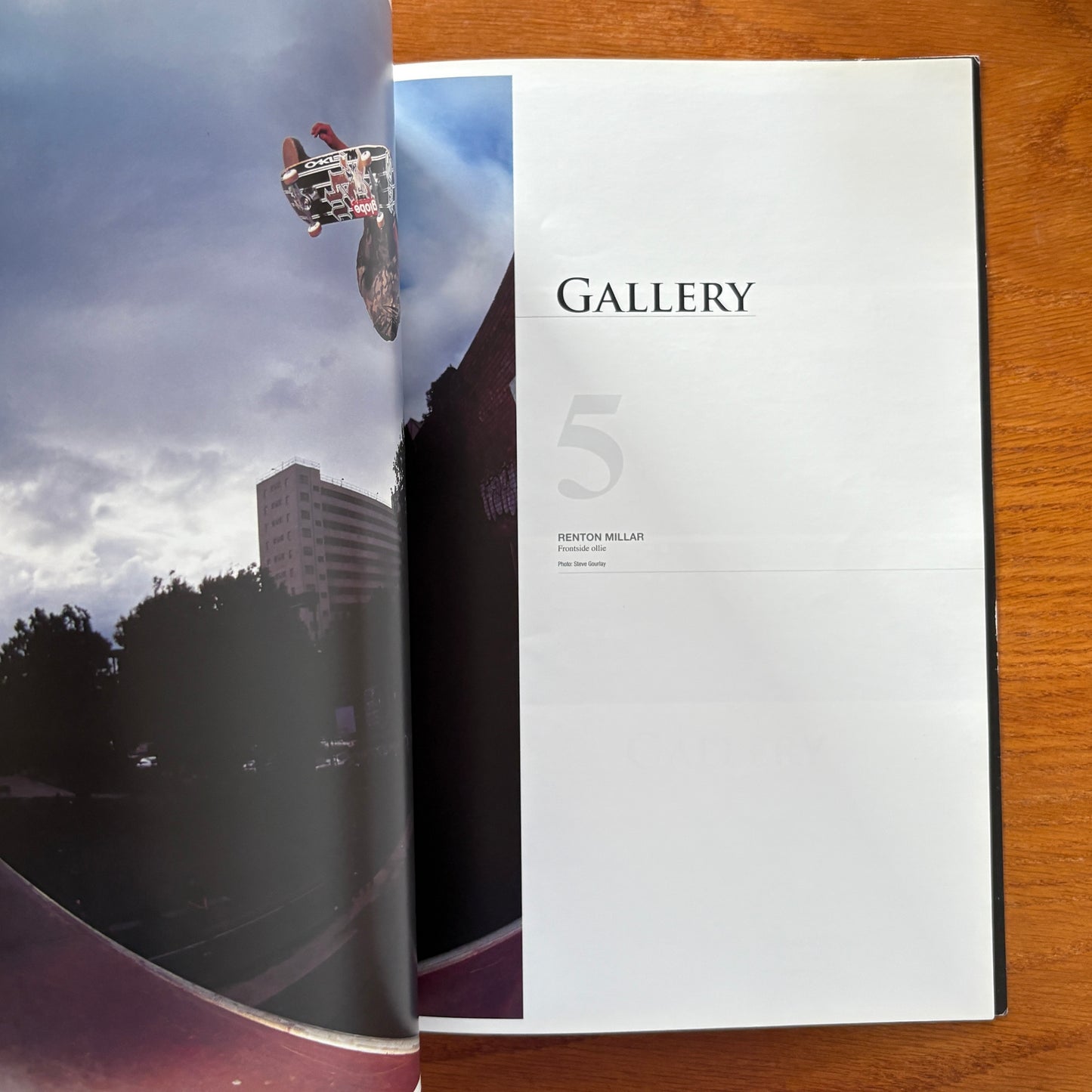 The Skateboarder's Journal 2