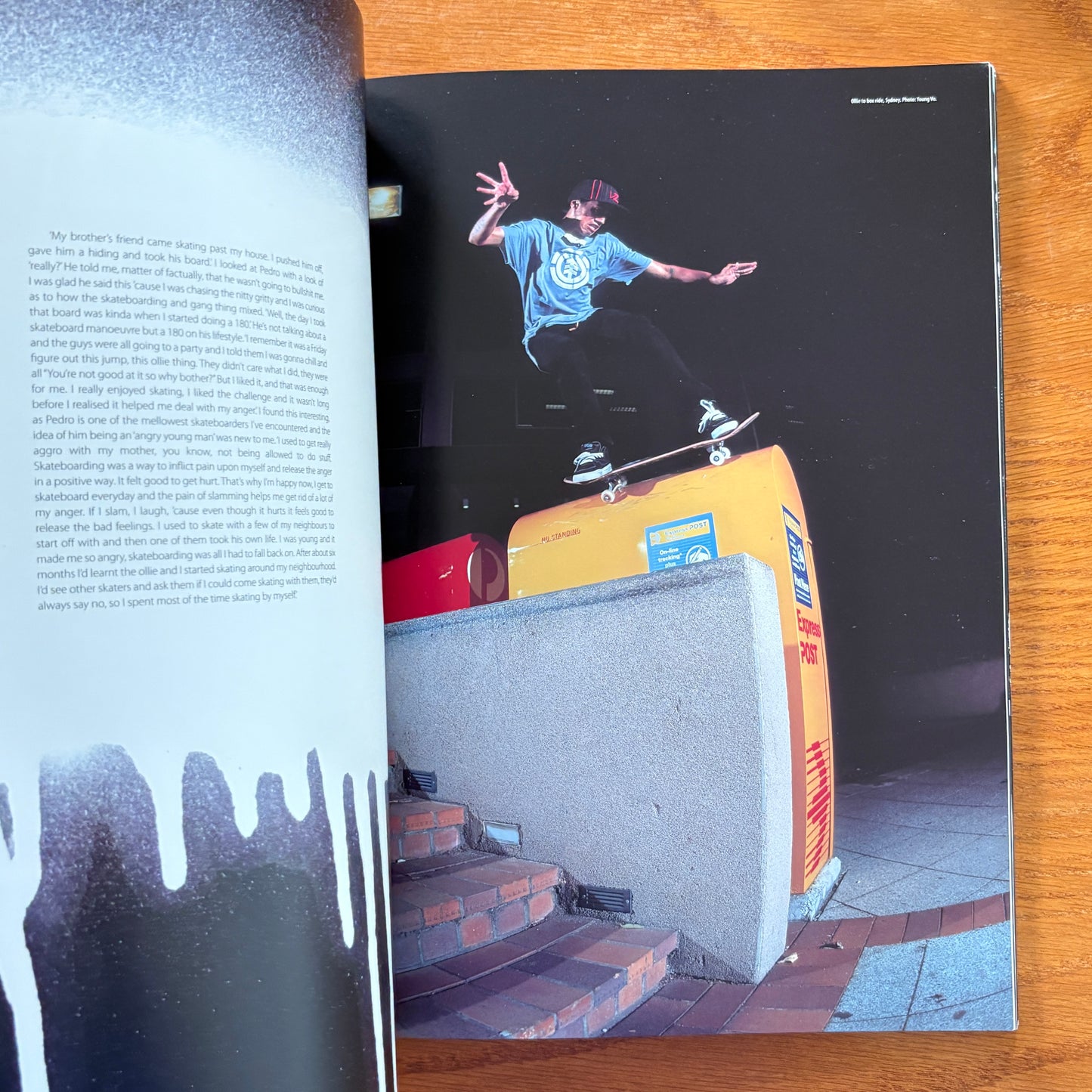 The Skateboarder's Journal 2