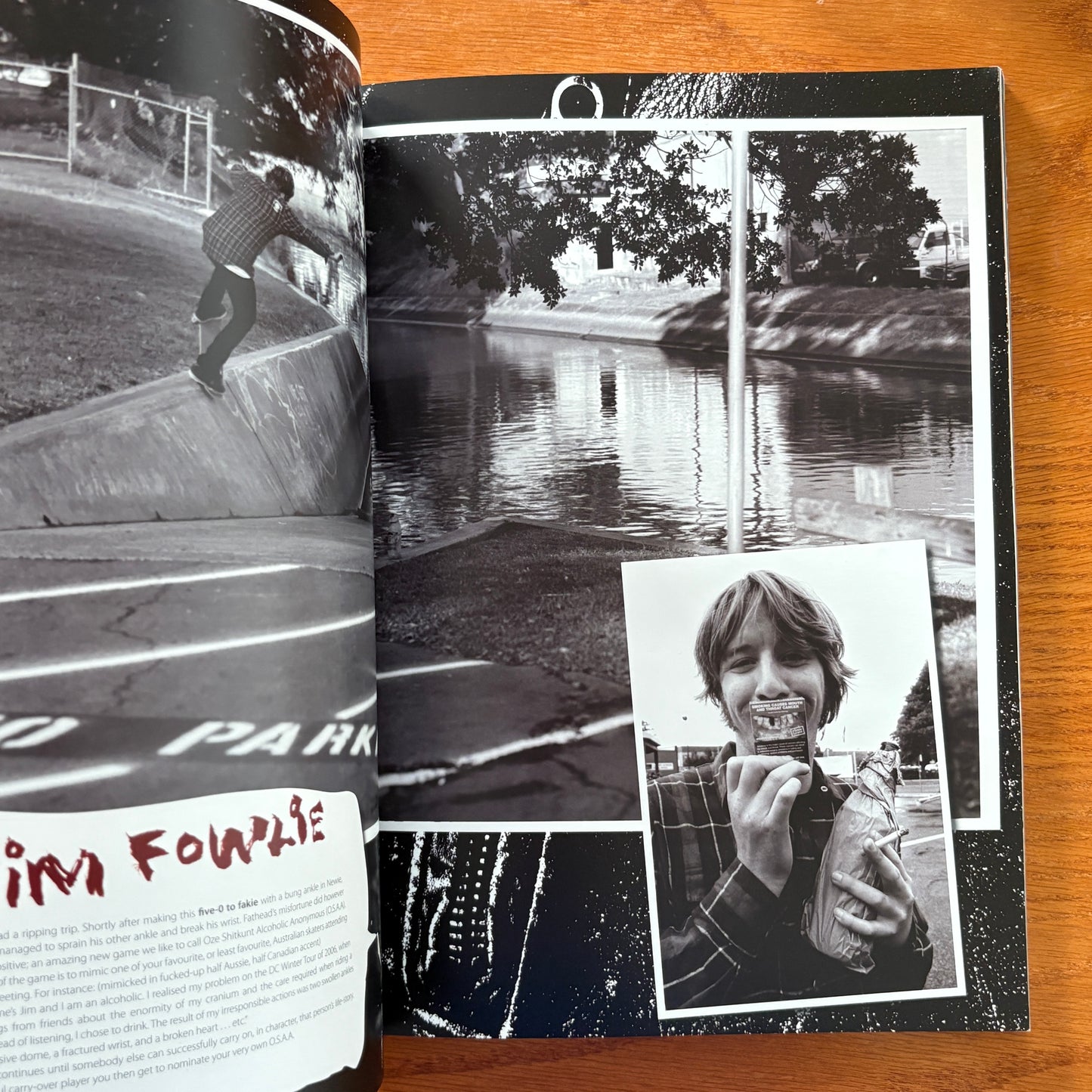 The Skateboarder's Journal 2