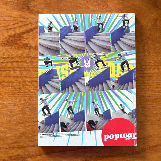 The Skateboarder's Journal 1