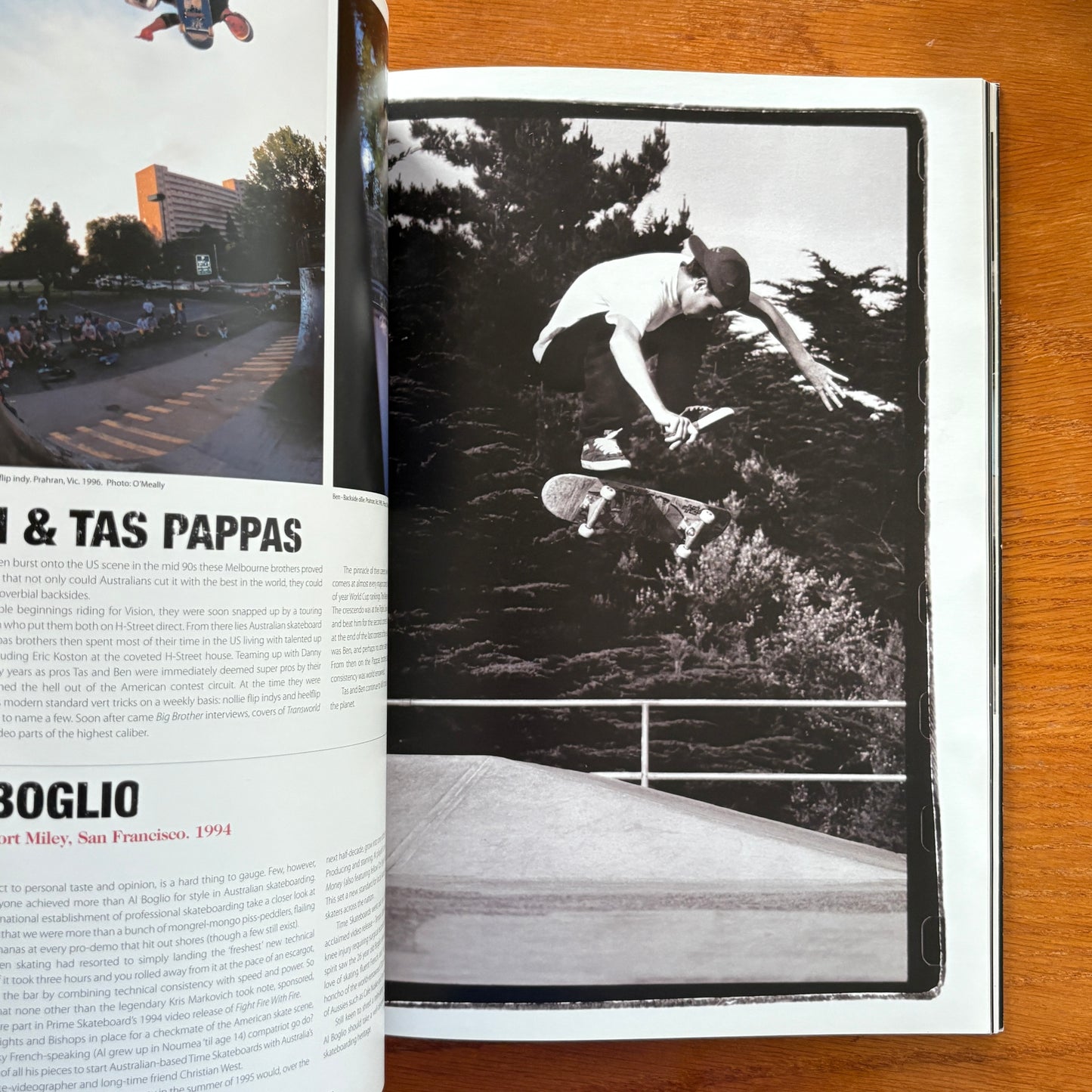 The Skateboarder's Journal 1