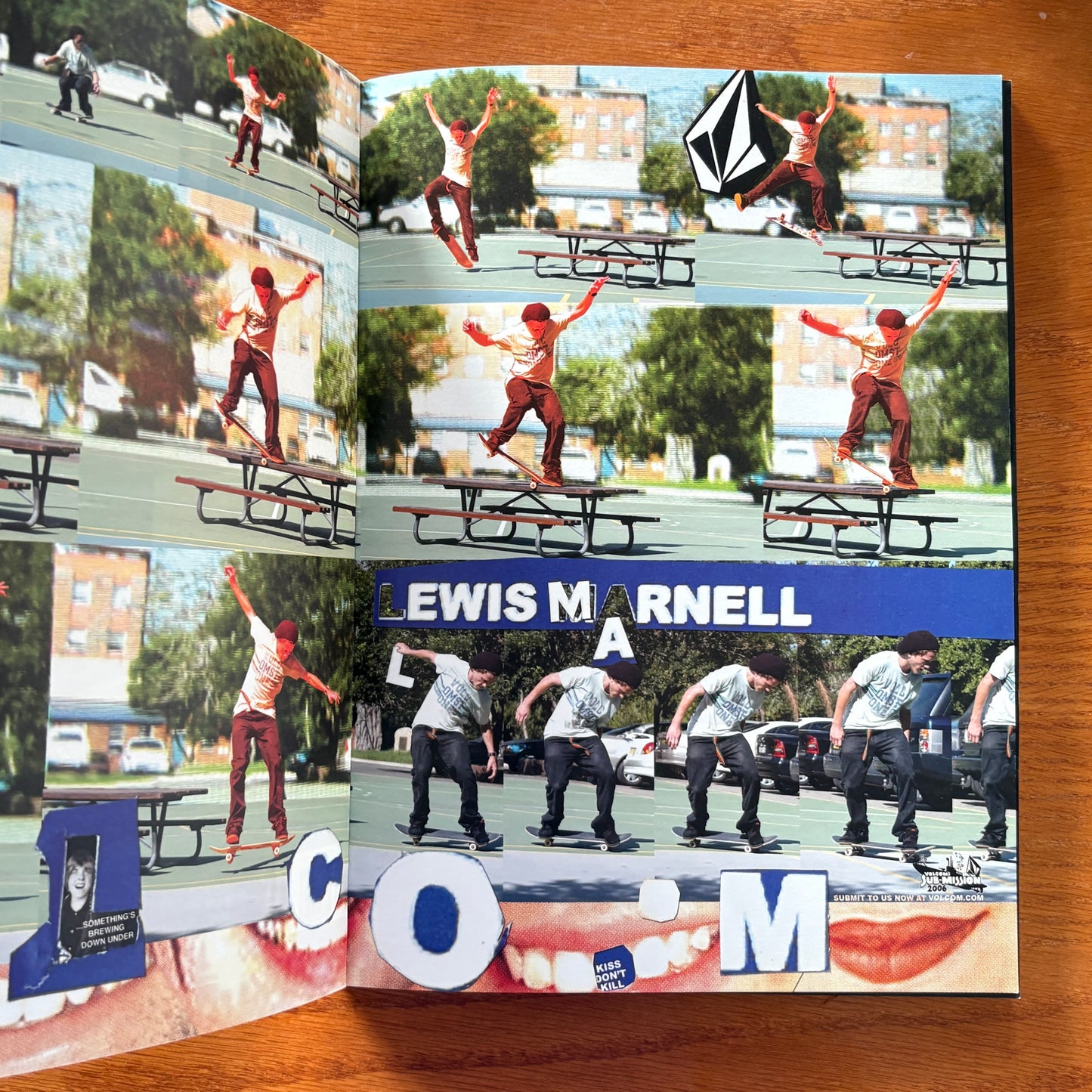 The Skateboarder's Journal 1