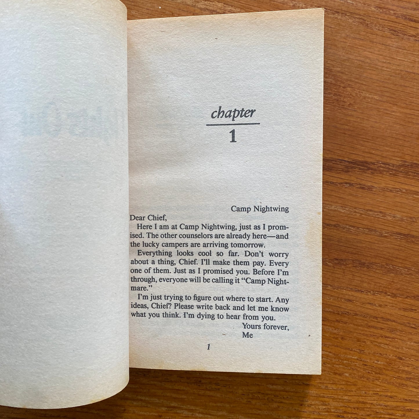 R.L Stine - Fear Street: Lights Out