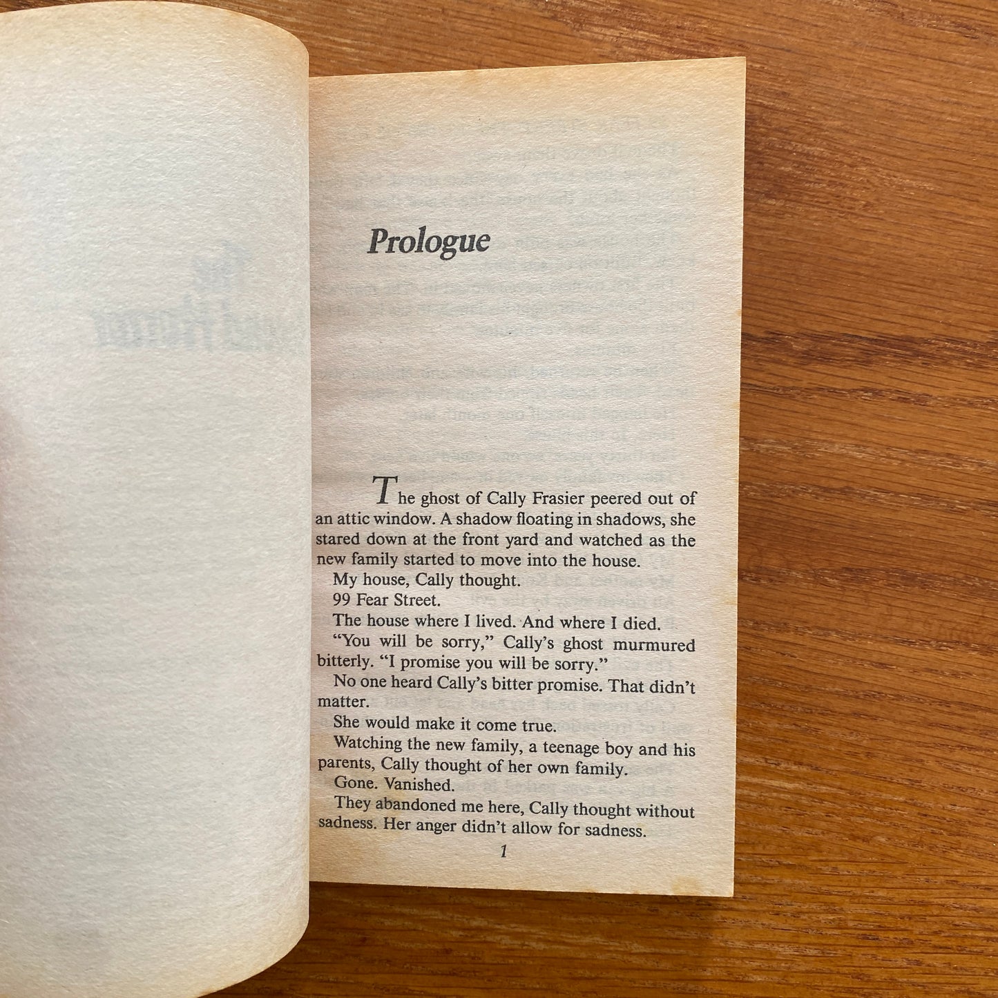 R.L Stine - 99 Fear Street The House Of Evil: The Second Horror