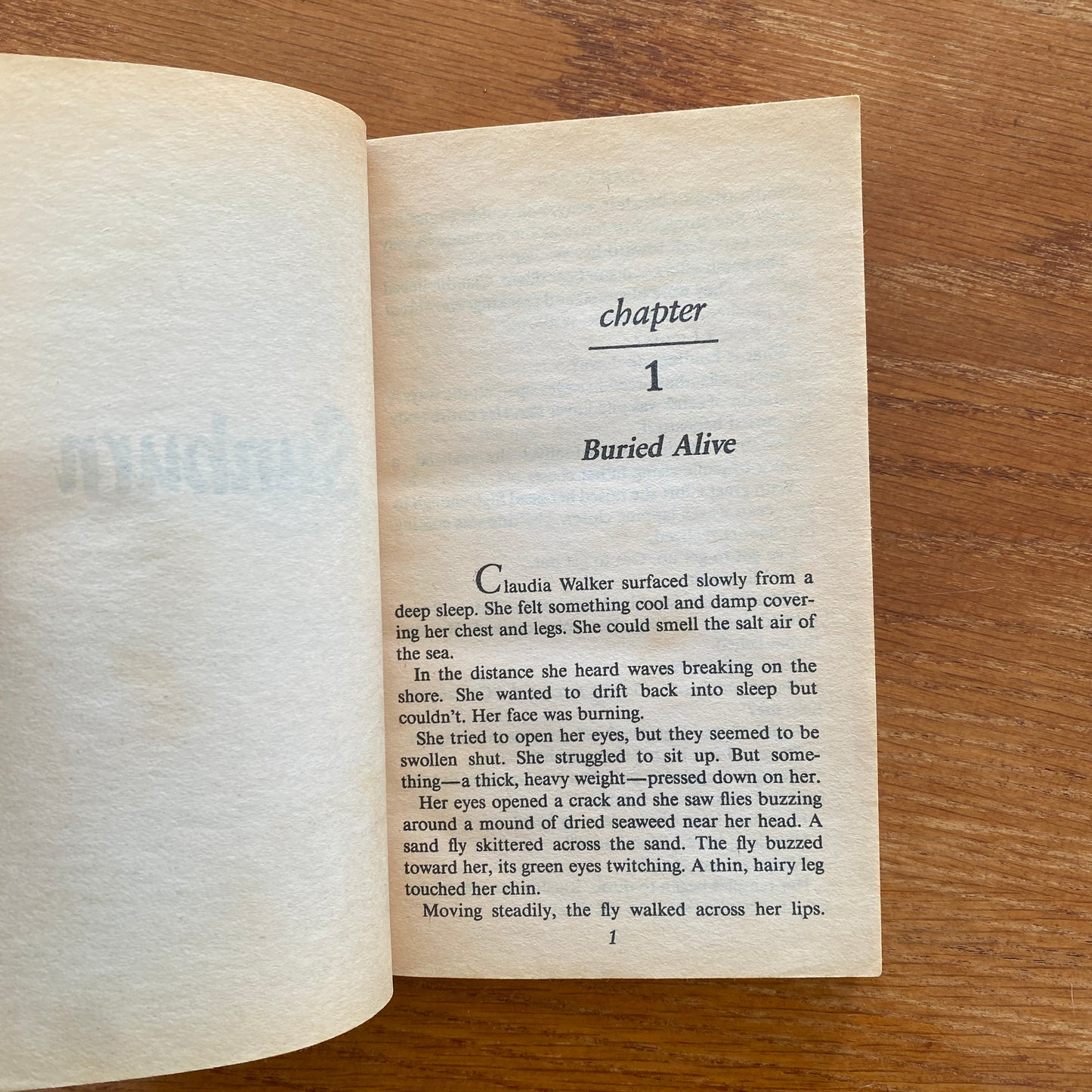 R.L Stine - Fear Street: Sunburn