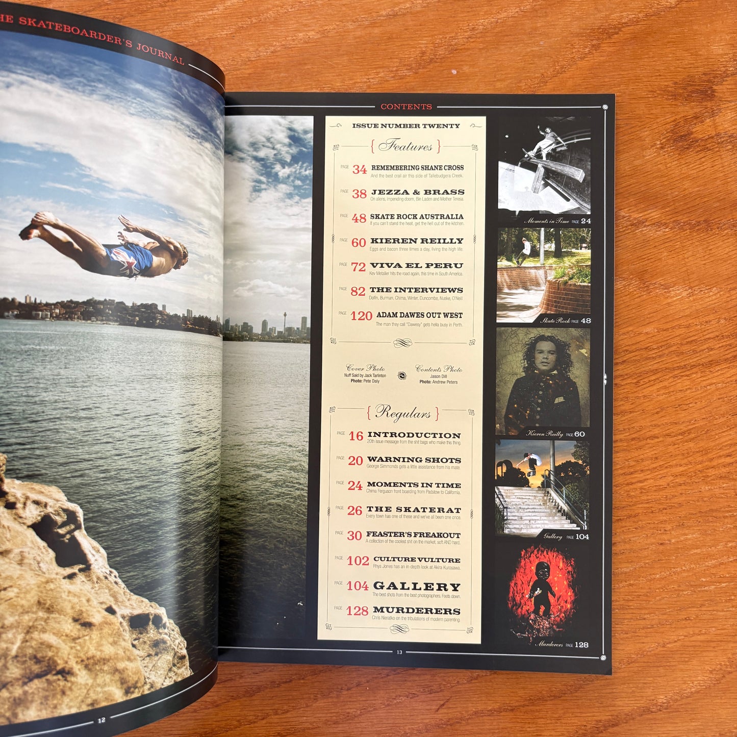 The Skateborder's Journal 20