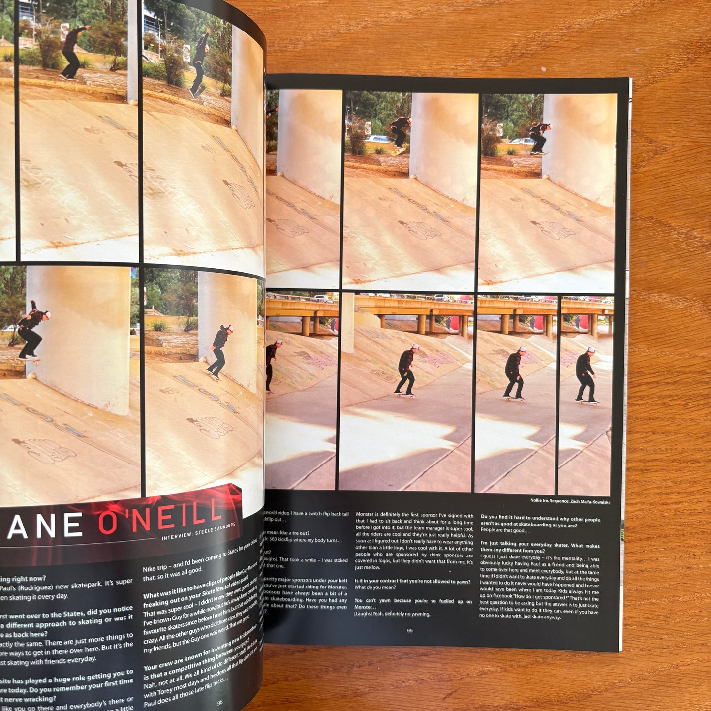 The Skateborder's Journal 20