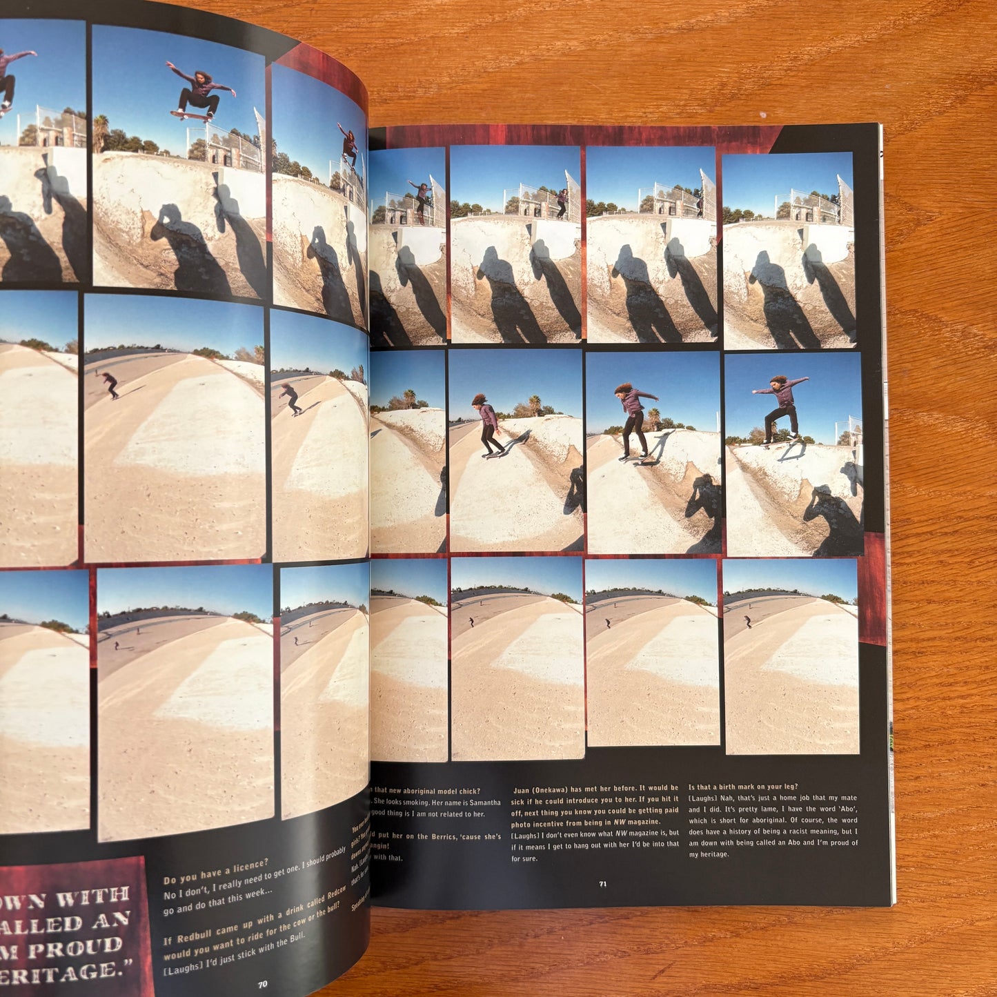 The Skateborder's Journal 20