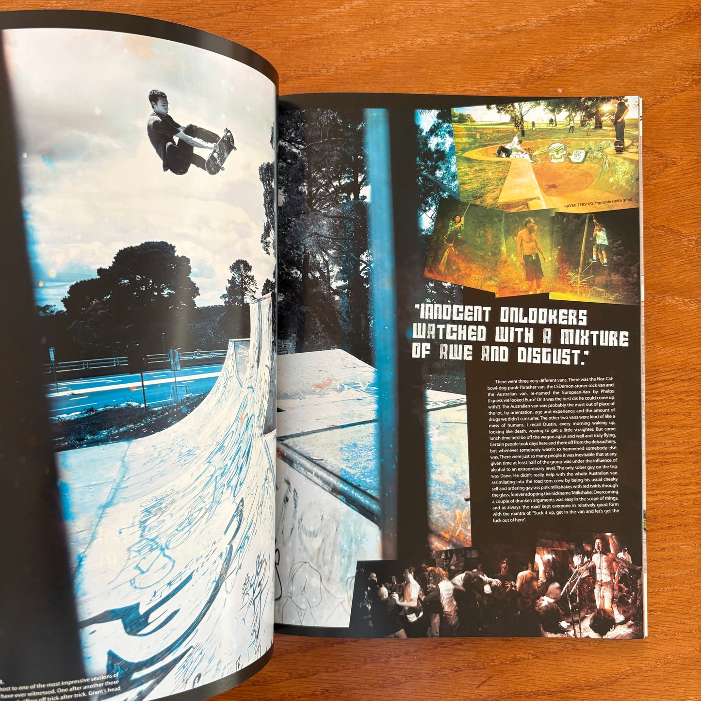 The Skateborder's Journal 20