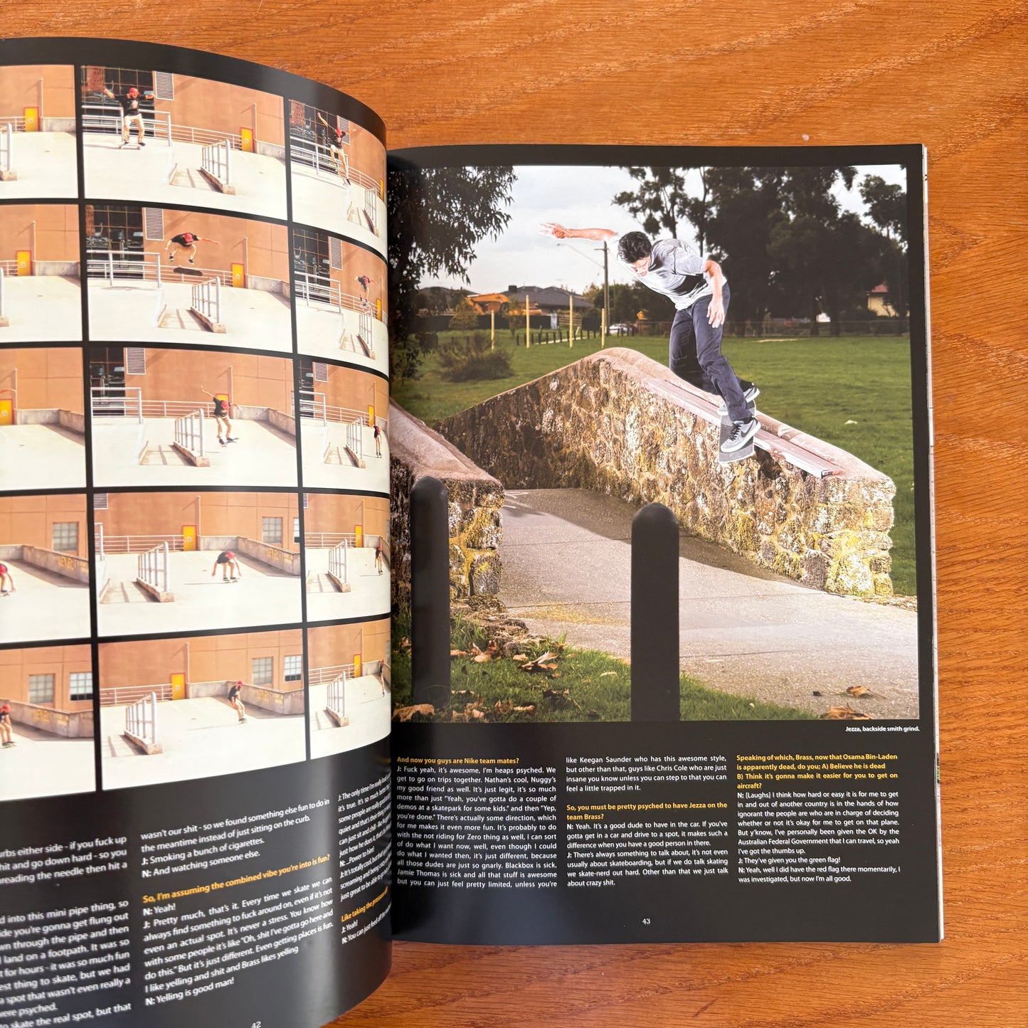 The Skateborder's Journal 20
