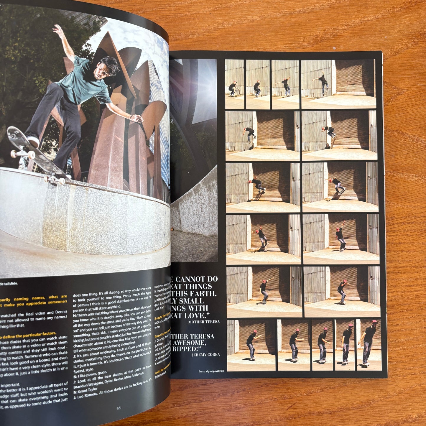 The Skateborder's Journal 20