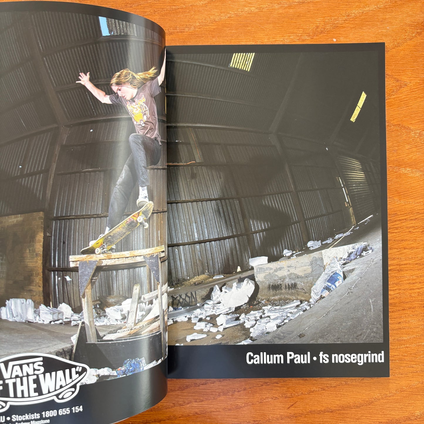 The Skateborder's Journal 20