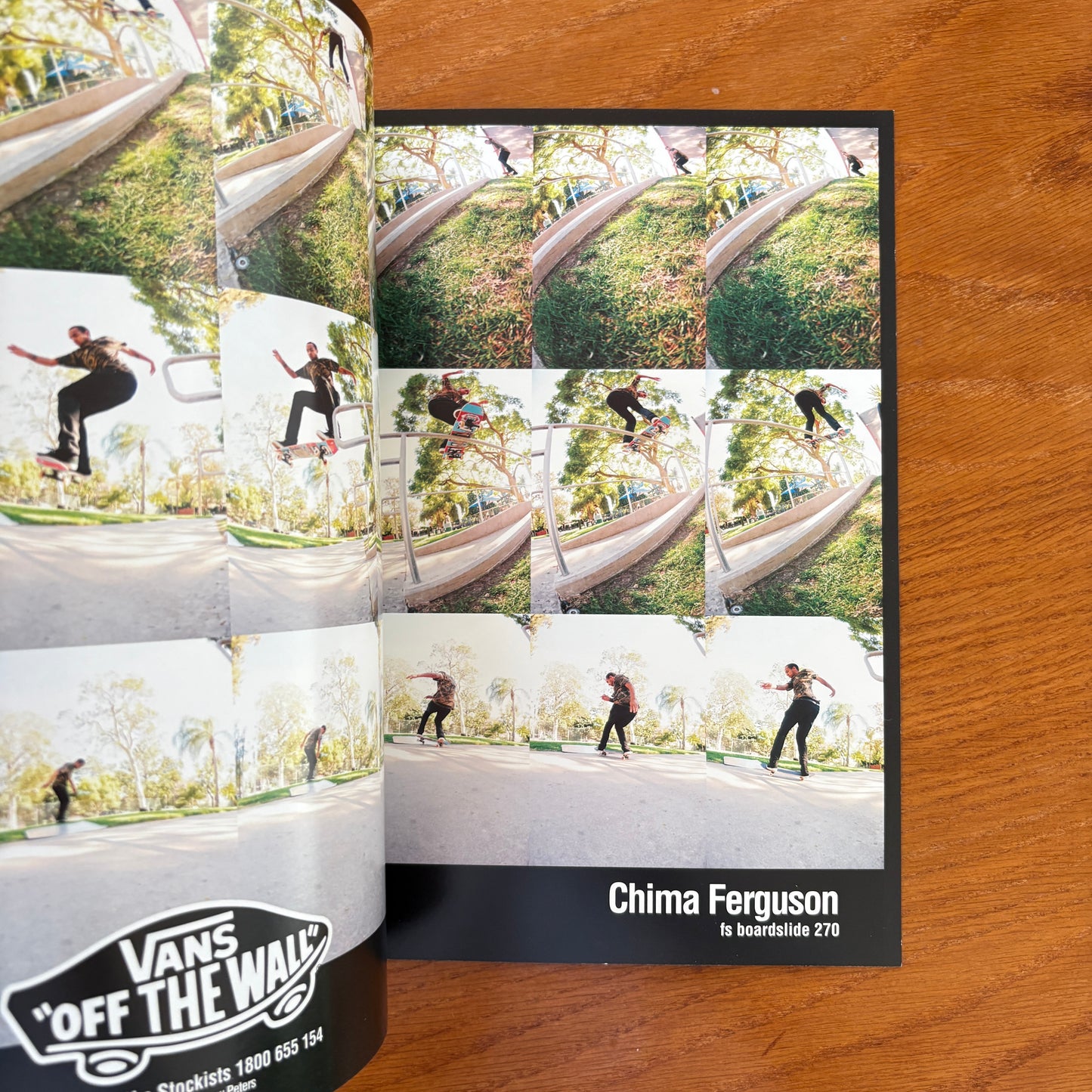 The Skateboarder's Journal 19