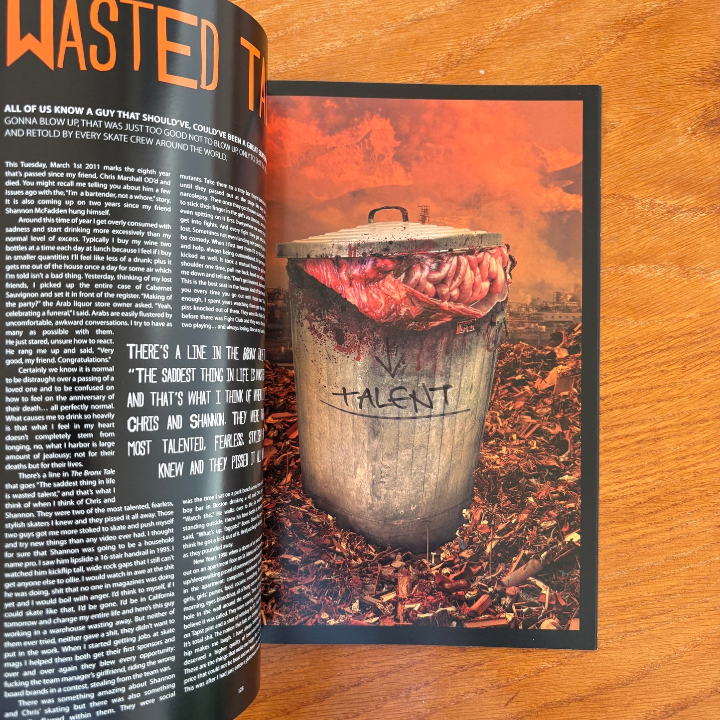 The Skateboarder's Journal 19