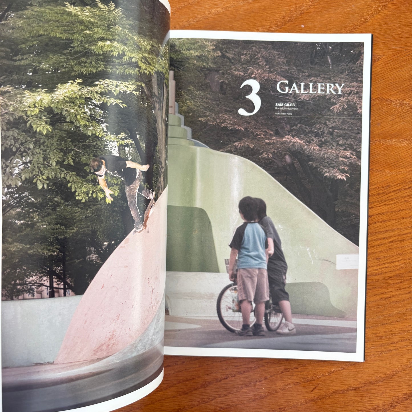 The Skateboarder's Journal 19