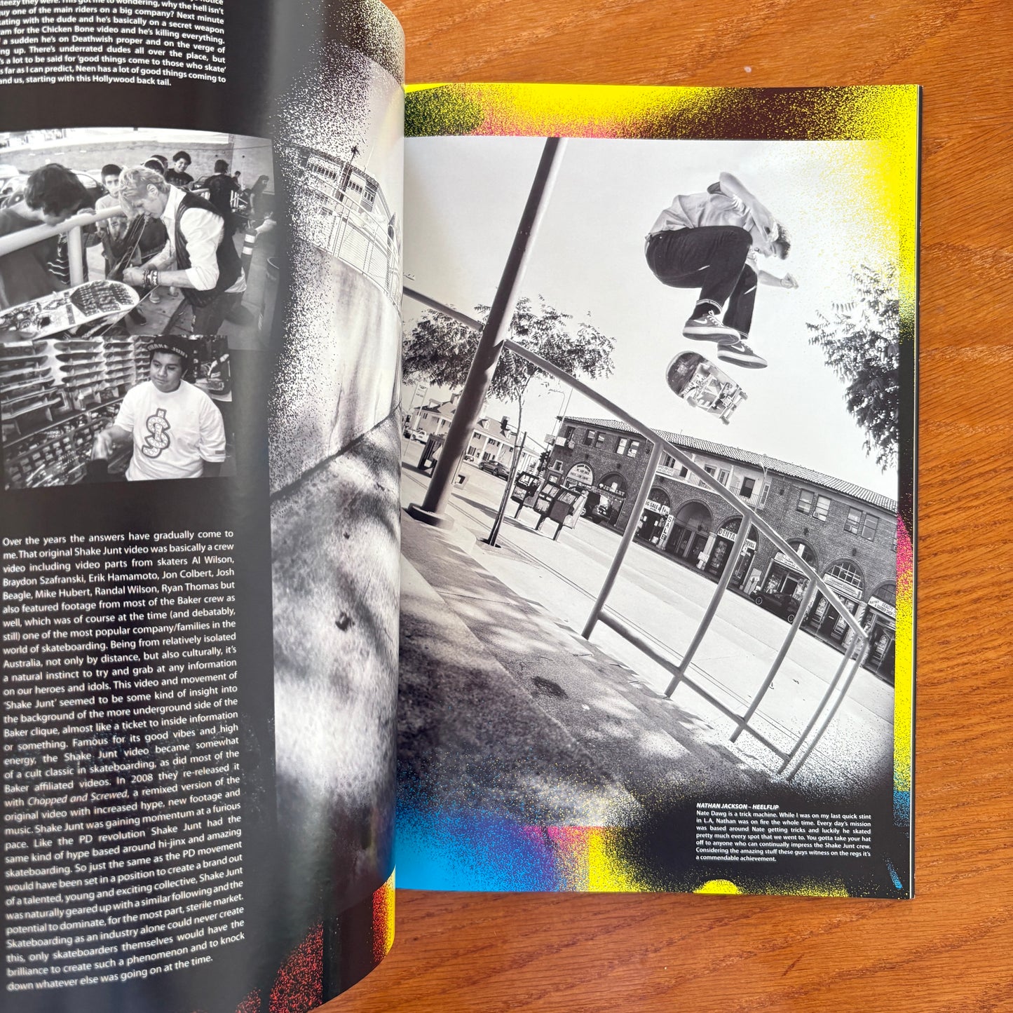 The Skateboarder's Journal 19
