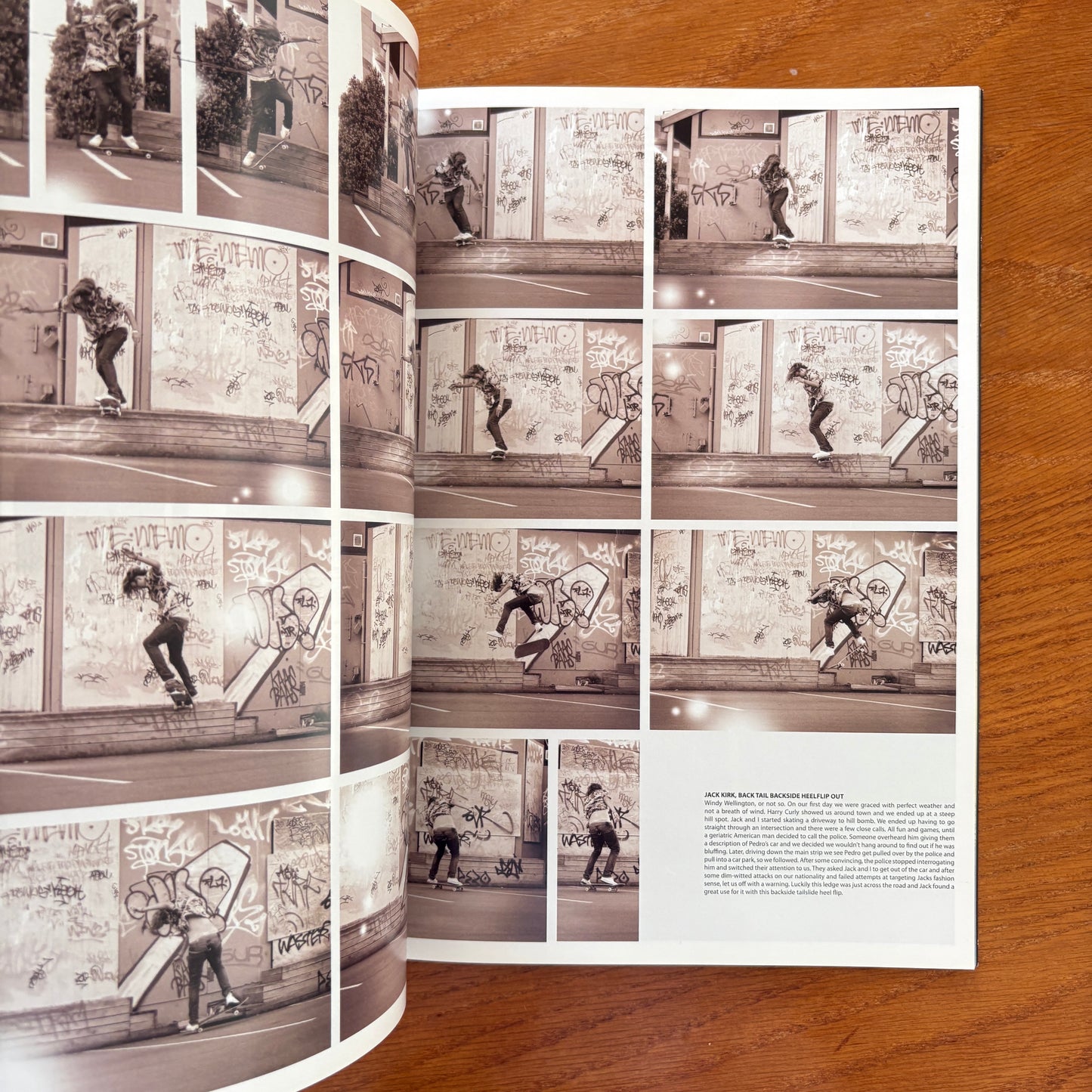 The Skateboarder's Journal 19