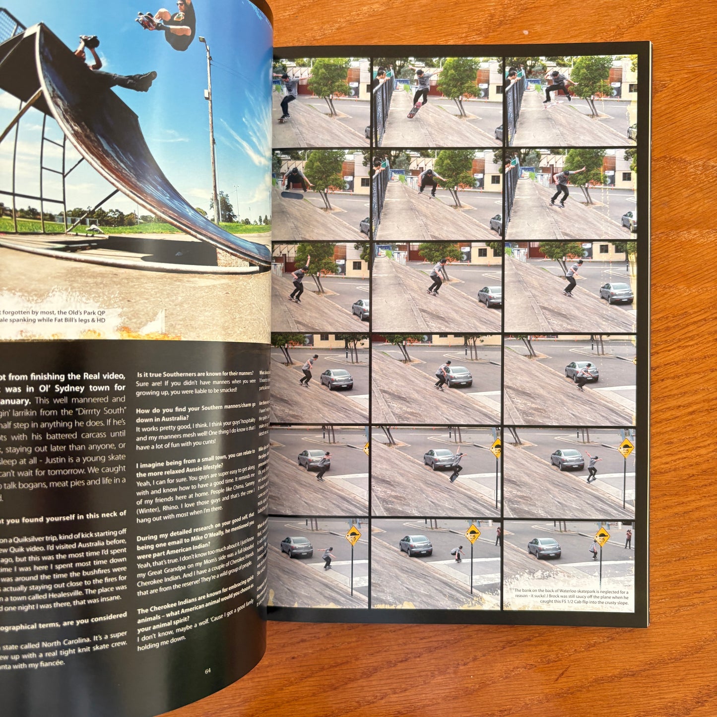 The Skateboarder's Journal 19