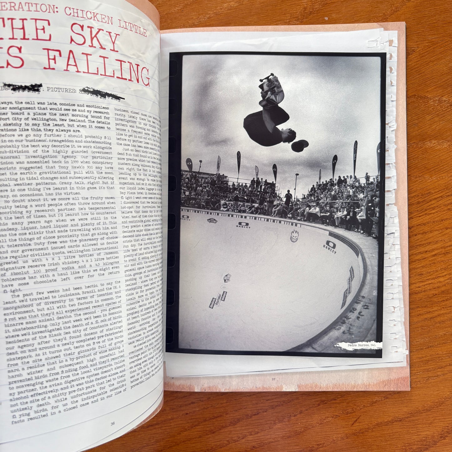 The Skateboarder's Journal 19