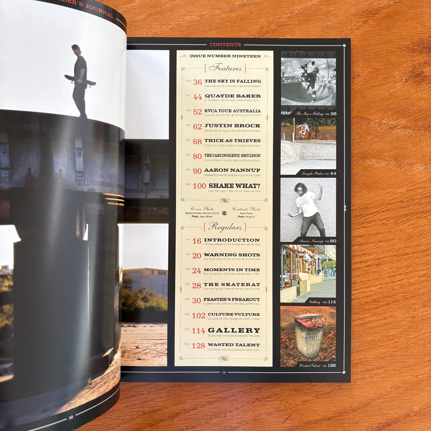The Skateboarder's Journal 19