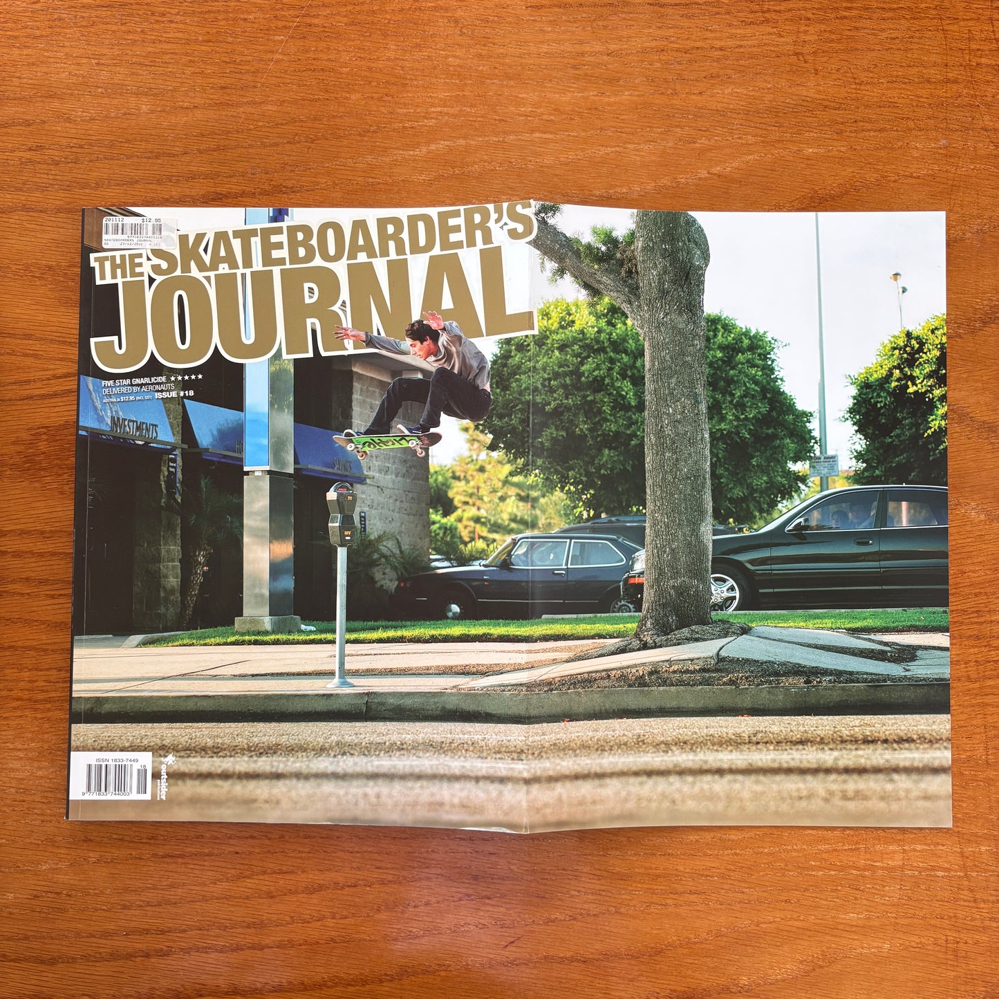 The Skateboarder's Journal 18