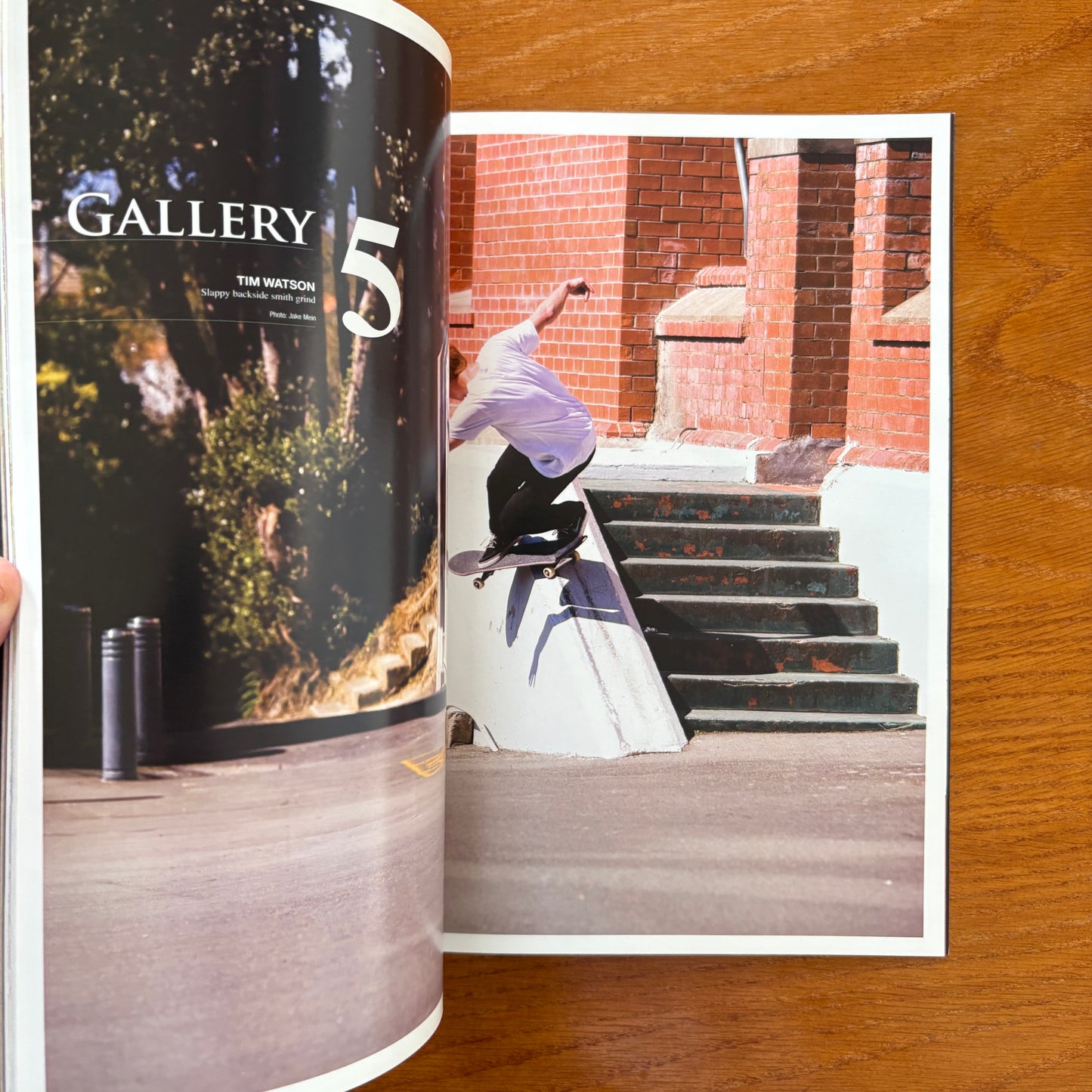 The Skateboarder's Journal 18