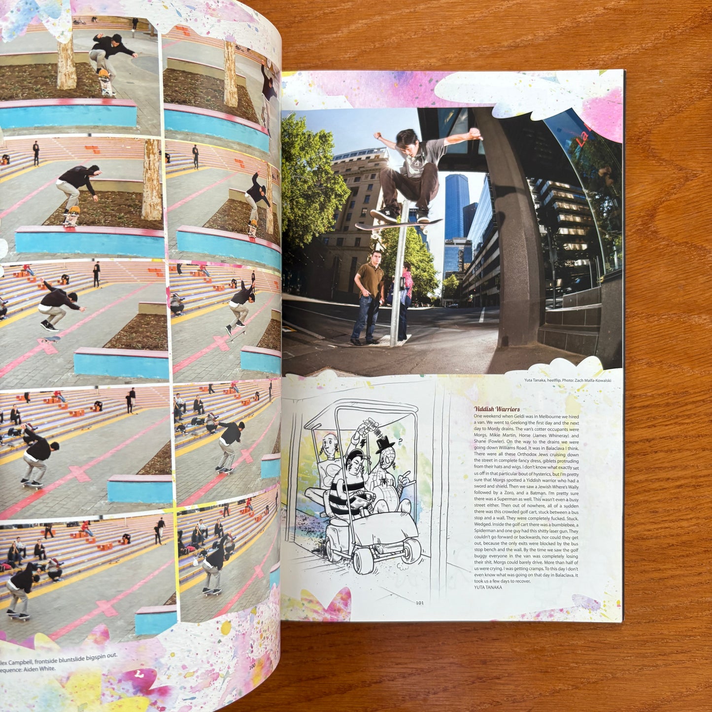 The Skateboarder's Journal 18