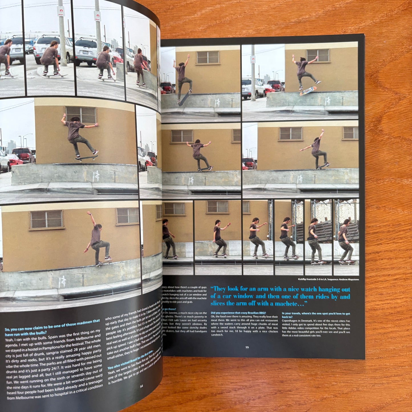 The Skateboarder's Journal 18