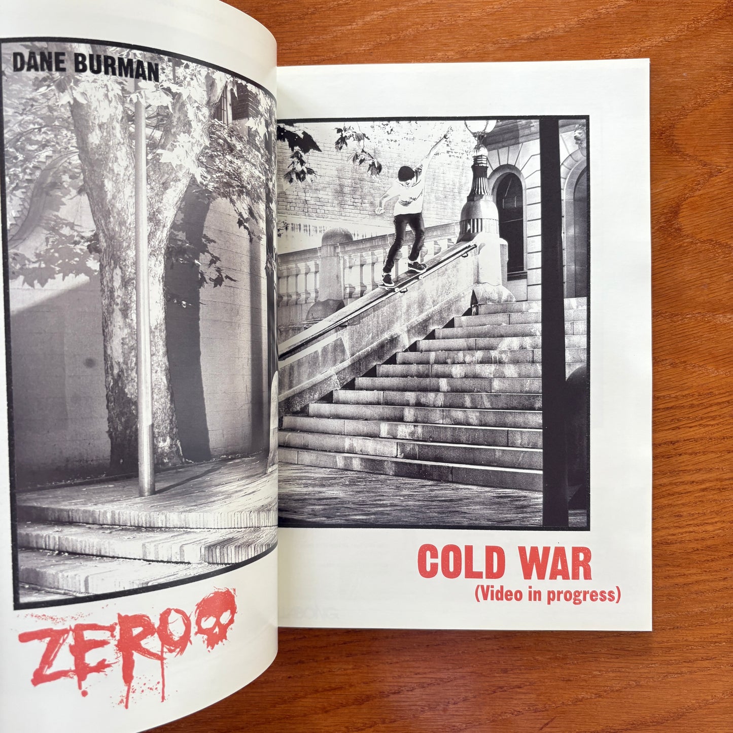 The Skateboarder's Journal 18