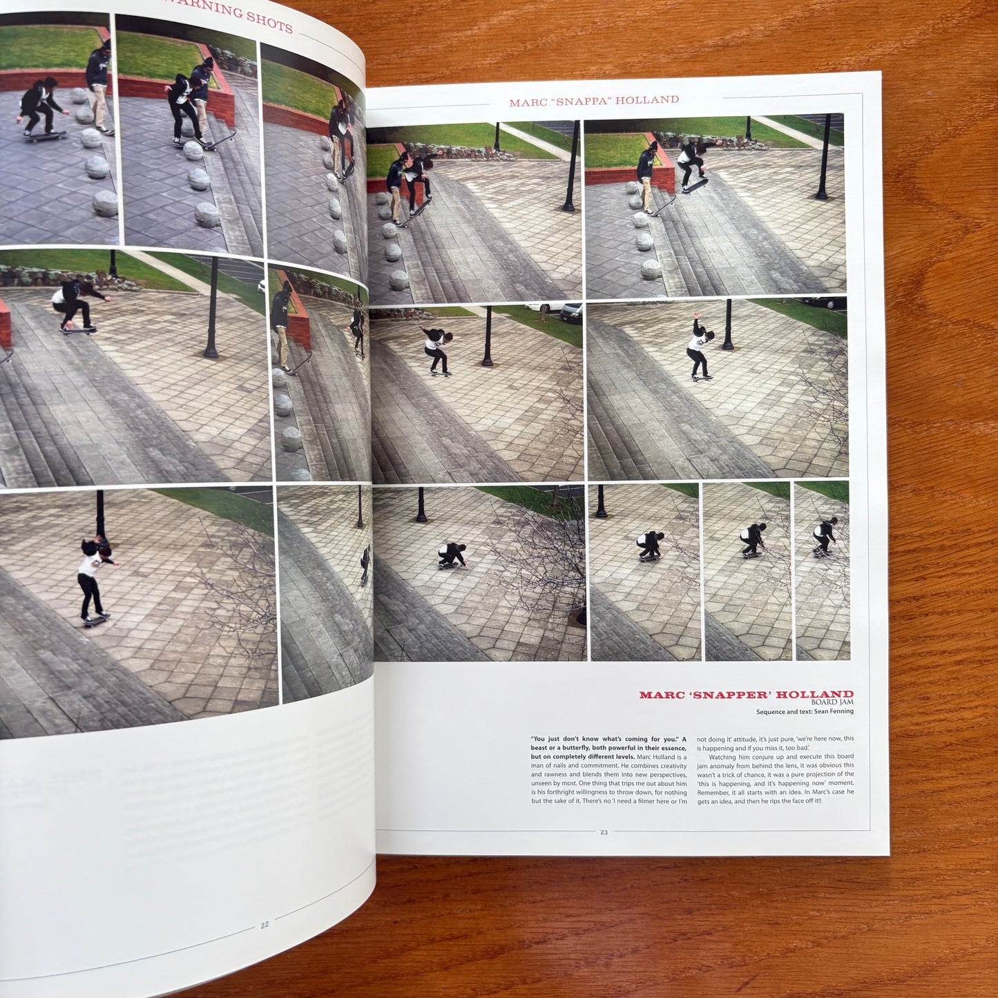 The Skateboarder's Journal 18